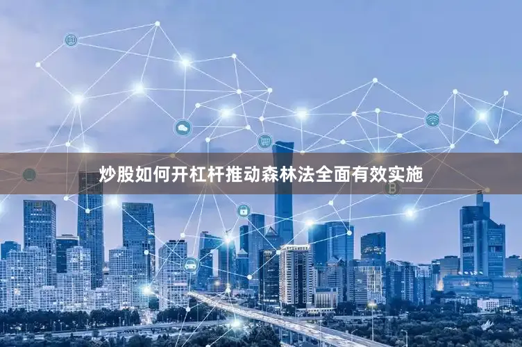 炒股如何开杠杆推动森林法全面有效实施