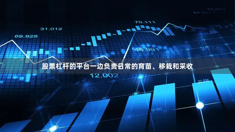 股票杠杆的平台一边负责日常的育苗、移栽和采收