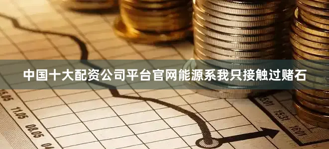 中国十大配资公司平台官网能源系我只接触过赌石