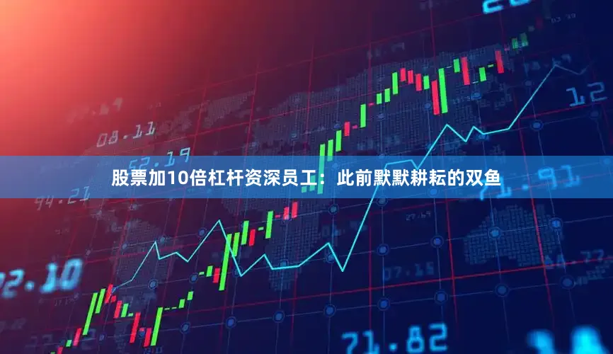 股票加10倍杠杆资深员工：此前默默耕耘的双鱼