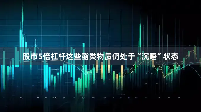 股市5倍杠杆这些酯类物质仍处于“沉睡”状态